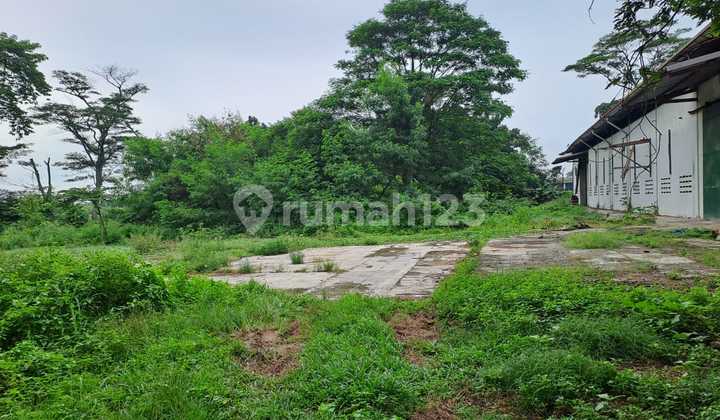 Dijual Ex Pabrik Kayu di Jalan Raya Cikande Rangkasbitung Dijual Ex Pabrik Kayu di Jalan Raya Cikande Rangkasbitung