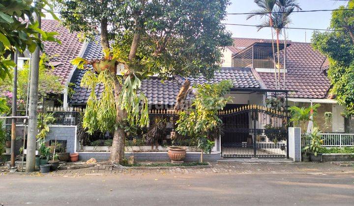 Dijual Murah Rumah Lokasi Ramai Di Depan Taman Di Anggrek Loka Bsd 2