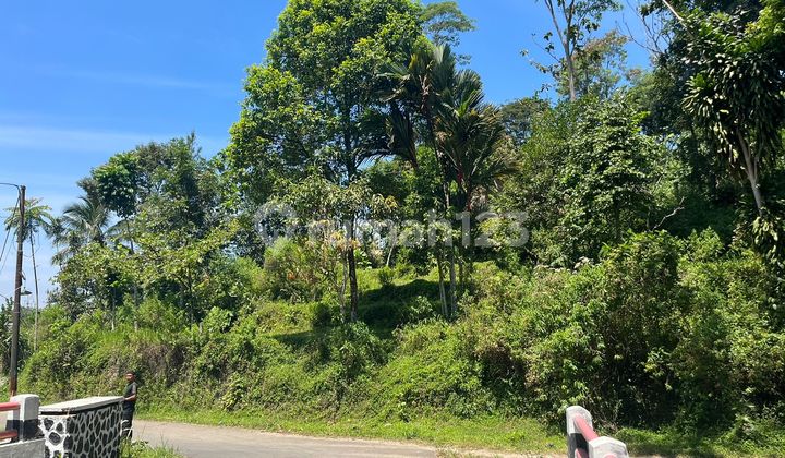 Dijual Tanah Cocok Untuk Villa dan Ada Akses Jalan Di Cigombong