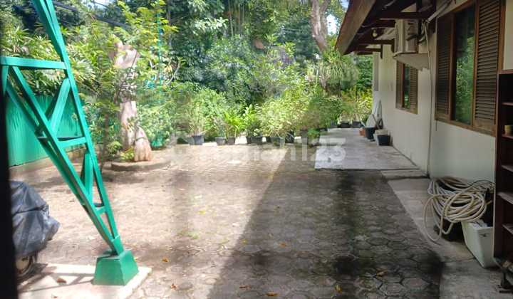 Rumah Di.patiunus Rata Posisi Hook Hangtuah