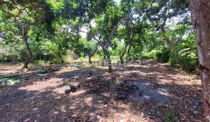 For Sale Land Plot Rengasdengklok, Karawang Regency, West Java For Sale Land Plot Rengasdengklok, Karawang Regency, West Java