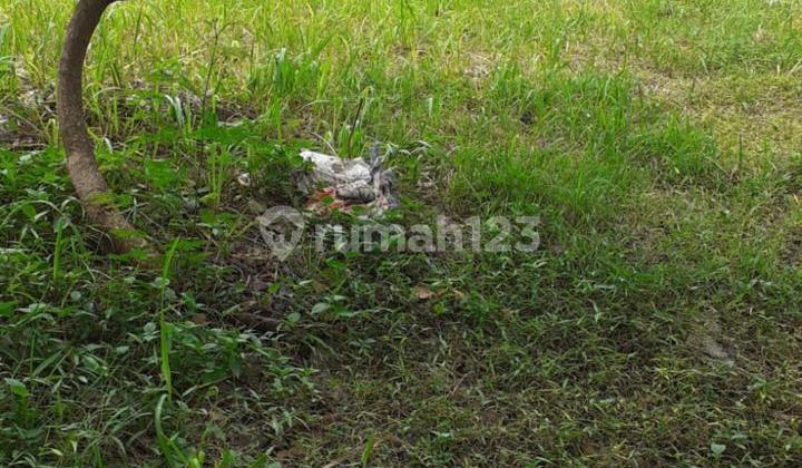 For Sale Kencana Loka Cluster Land Plot in BSD City, Tangerang