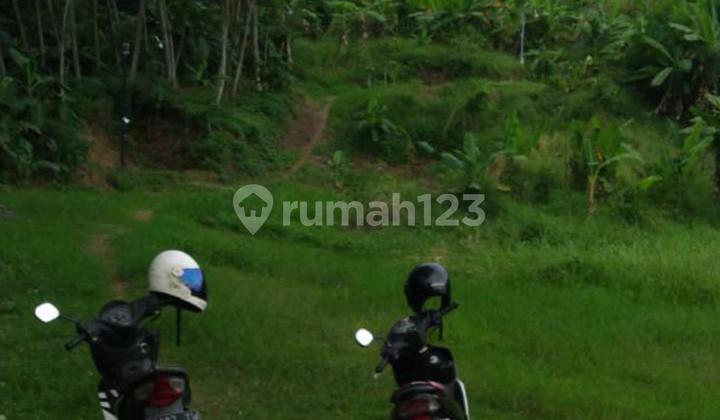 Dijual Rumah 40% dari NJOP dgn Kavling Tanah Luas DK Trangkil, Semarang 2