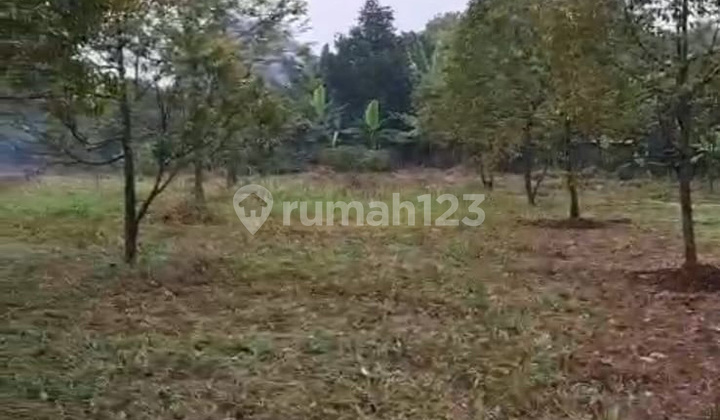 Kavling Siap Bangun Lokasi Strategis Pinggir Jalan @Cilodong Kavling Siap Bangun Lokasi Strategis Pinggir Jalan @Cilodong