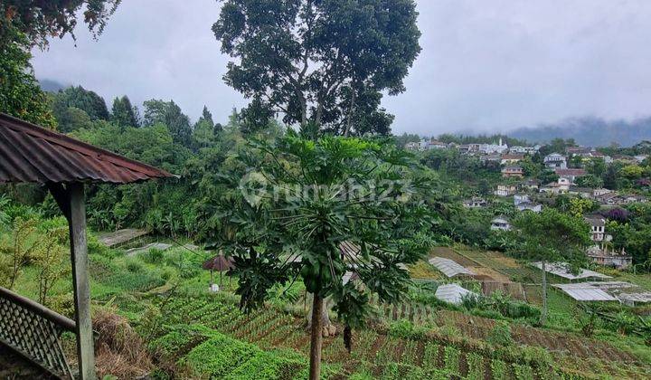 Villa Asri dengan Halaman Luas dan Lingkungan Nyaman di Cianjur 2