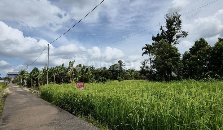 Dijual Tanah Besar Cocok untuk Bangun Rumah - Area Desa Kapur Dijual Tanah Besar Cocok untuk Bangun Rumah - Area Desa Kapur