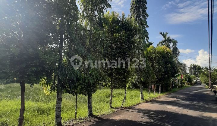 Tanah Siap Bangun Hanya 220M Dari Jalan Raya Wonobaru Tanah Siap Bangun Hanya 220M Dari Jalan Raya Wonobaru