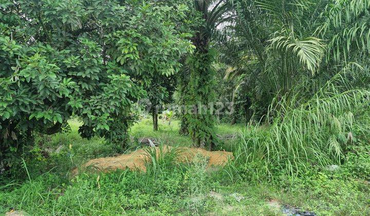 Tanah Dumai Bukit Kapur Riau Desa Bagan Besar 4