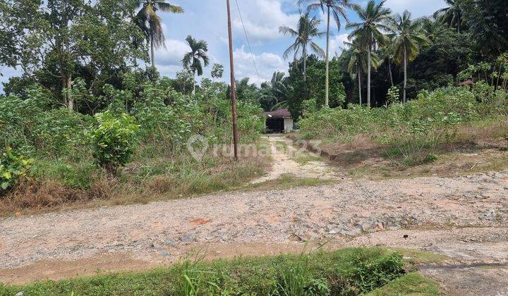 Tanah Dumai Bukit Kapur Riau Desa Bagan Besar 5
