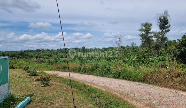 Tanah Dumai Bukit Kapur Riau Desa Bagan Besar 12