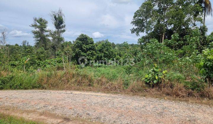 Tanah Dumai Bukit Kapur Riau Desa Bagan Besar 14