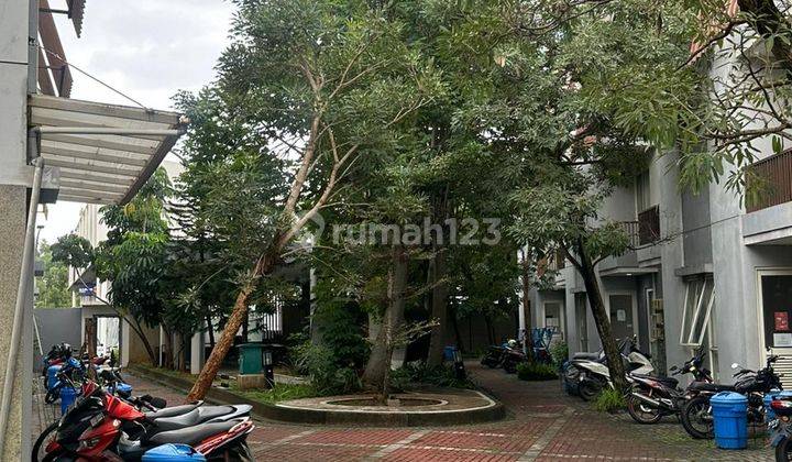 Rumah Kos Kos An Bagus Lokasi Strategis Piazza Bsd City  2