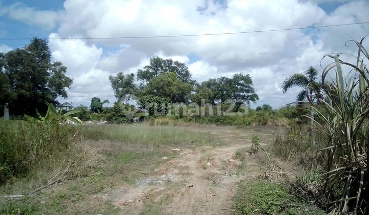 Tanah/Kavling Komersial 41.000m2 Di Rambutan Banyuasin Palembang 1