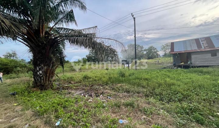 Tanah/Kavling Komersial 41.000m2 Di Rambutan Banyuasin Palembang 2