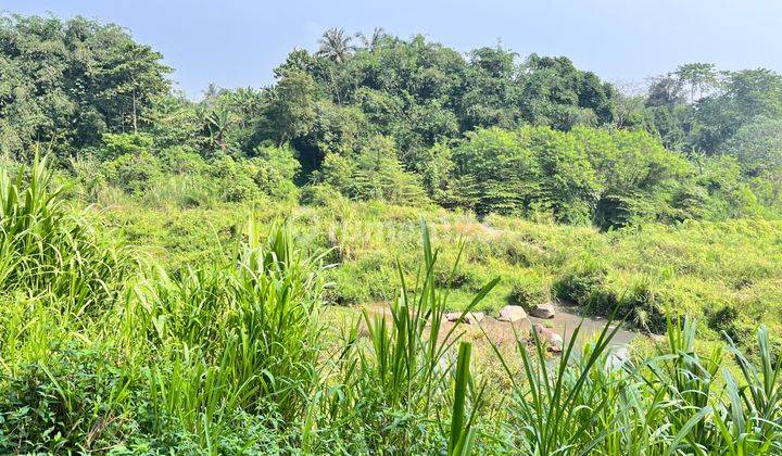 tanah dekat IPB Dramaga Bogor 2