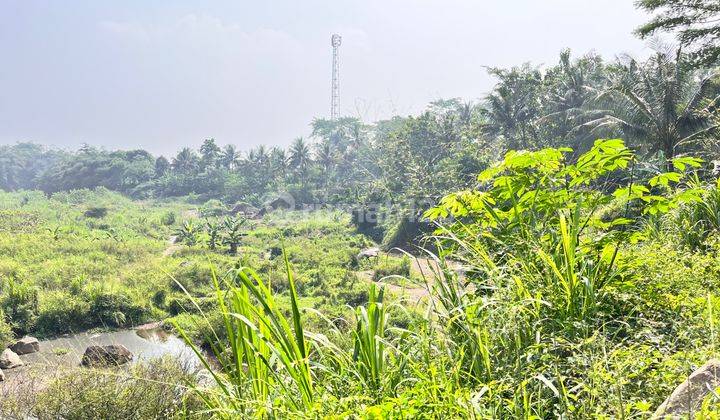 tanah dekat IPB Dramaga Bogor 1