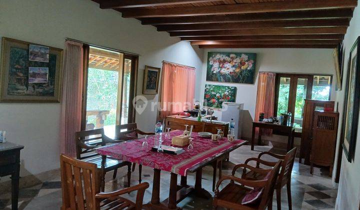 Paradise Bamboo Forest In Bali Lease Str Fr Eur 18k Per Year Ru 2
