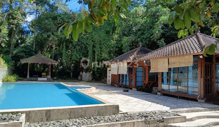 Exclusive Villas At Payangan Bail Only Eur 21,7 K Per Year Uk 2