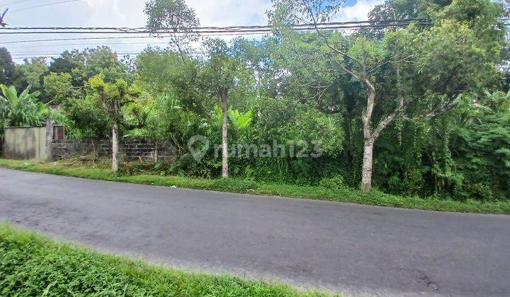 99 Years For Plot Lease 2.555 Sq.m. At Payangan, Bali Uk 1