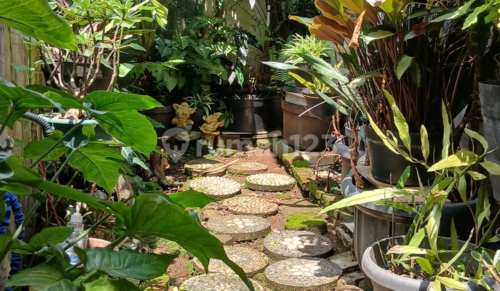 Siap Huni Posisi Sejuk dan Nyaman Rumah 3 Kamar Bintaro Jaya