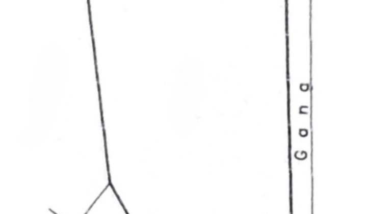  FOR SALE KEMANG HITUNG TANAH ROW JALAN 2 MOBIL BEBAS BANJIR