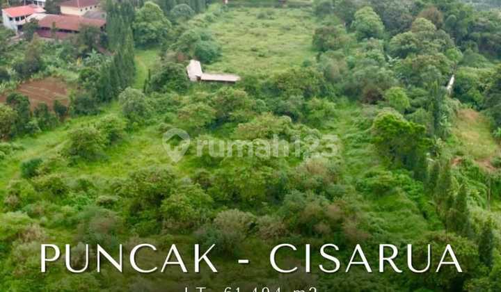 PUNCAK - CISARUA LAHAN LUAS DI BAWAH HARGA PASAR