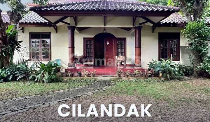  Cilandak Rumah Klasik Halaman Luas Cocok Untuk Hunian Usaha 1