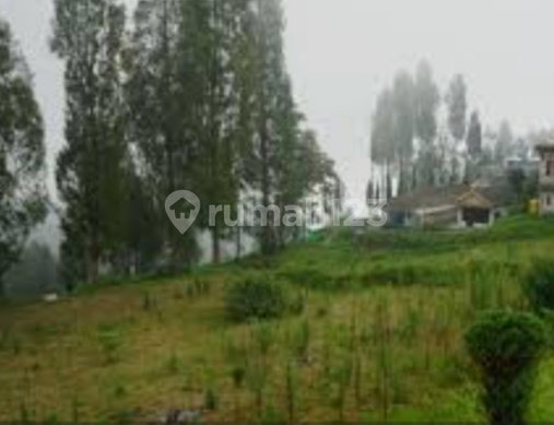 Dijual Tanah Tosari Bromo