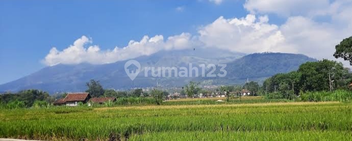 Dijual Tanah Dekat Ubaya Training Centre Trawas