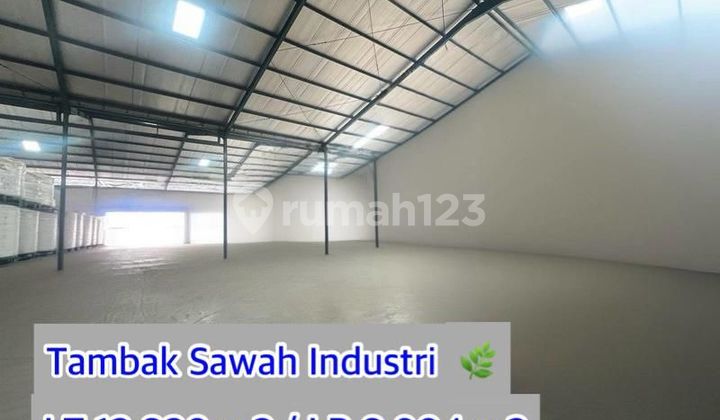 Cheap Warehouse for Sale in Industrial Area of Tambak Sawah, Waru ~ Sidoarjo, 1.28 Ha
