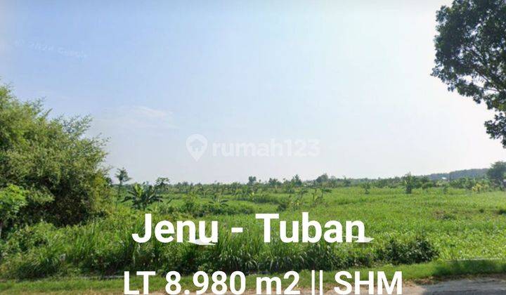 Tanah Raya Jenu - Tuban, Ja-Tim Dekat Kwsg Shm Lebar ± 63 Meter 2