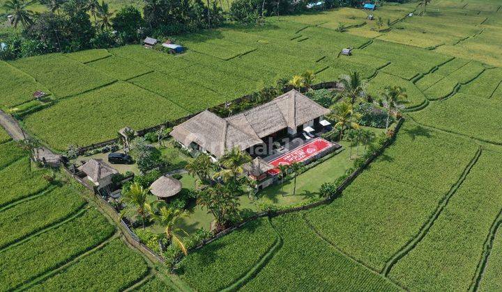 Dijual Villa Dengan Pemandangan Sawah Di Tegalalang Ubud Bali 