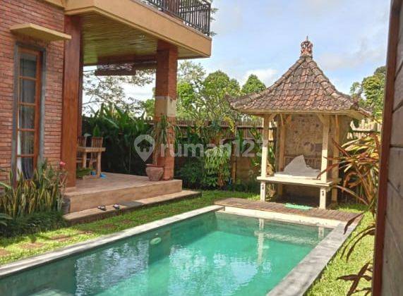 For Lease Cozy Villa With Rice Field View At Pejeng Ubud , Close From Ubud Market , Monkey Forest And Tegallalang 1