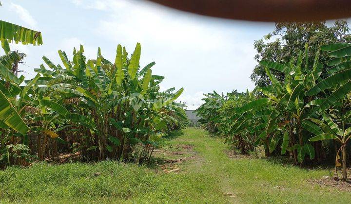 Lahan kosong area Sanur cocok untuk usaha rumah kost di Sanur 3