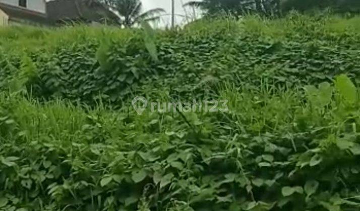 Lahan siap dibangun cocok untuk villa area Tanah Putih Ubud dekat Green School 4
