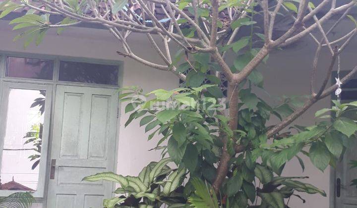 Available for rent 2 storey building house ready for habitation area Kerobokan close Umalas,Canggu, Seminyak 7
