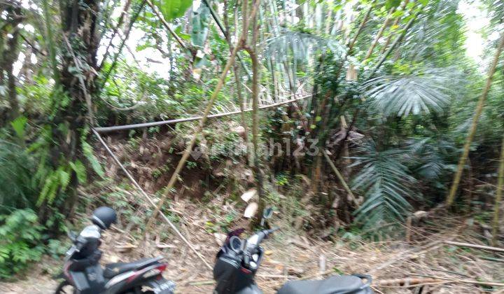 Lahan siap bangun lokasi Sibang Gede Ubud dekat green school dan green village  2