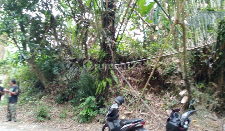 Lahan siap bangun lokasi Sibang Gede Ubud dekat green school dan green village  3