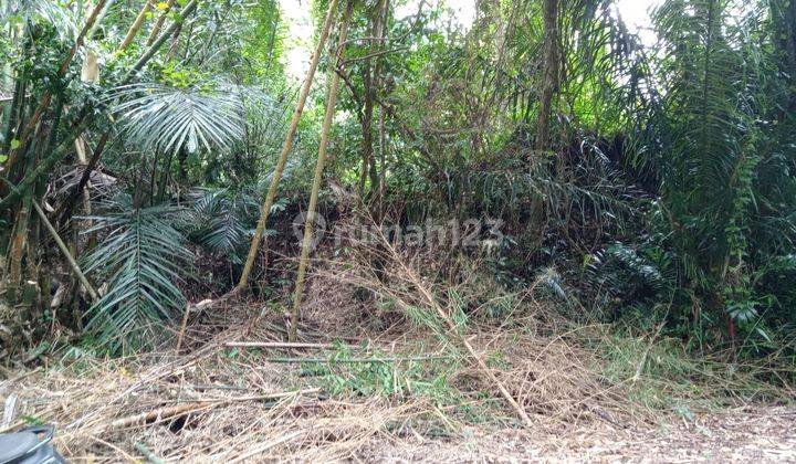 Lahan siap bangun lokasi Sibang Gede Ubud dekat green school dan green village  4