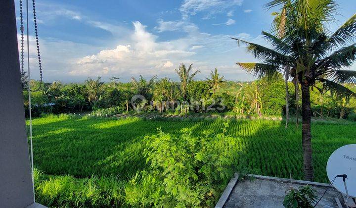 For Rent a beautiful villa view rice field at Blah Batu Gianyar close Saba Beach, Wake beach club, Balitopia butterfly Park 6