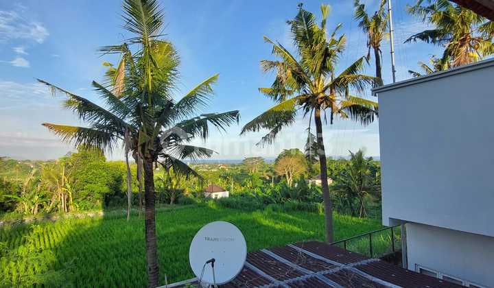 For Rent a beautiful villa view rice field at Blah Batu Gianyar close Saba Beach, Wake beach club, Balitopia butterfly Park 7