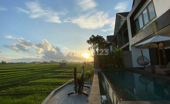 For Rent beautiful villa with Ricefield view at Cemagi close from the beach 1