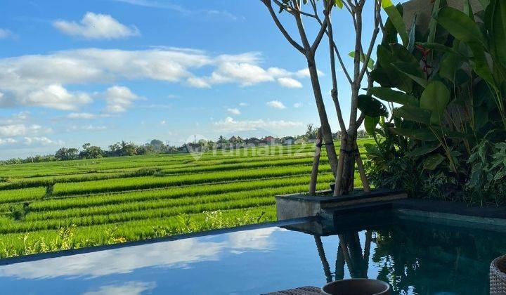 For Rent beautiful villa with Ricefield view at Cemagi close from the beach 5