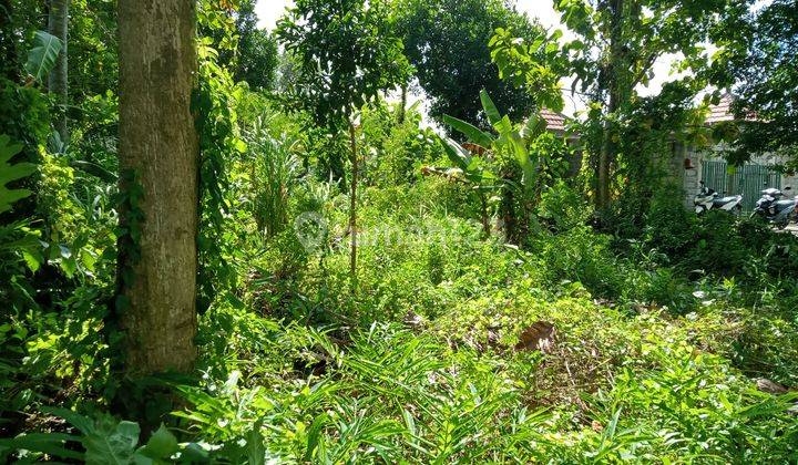 For Lease Lahan tegalan siap bangun lokasi Singapadukaler Ubud 1