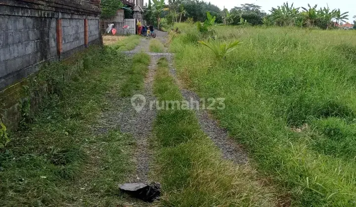 For Lease Lahan kering siap dibangun Lokasi nol jalan aspal Singakerta Ubud 2