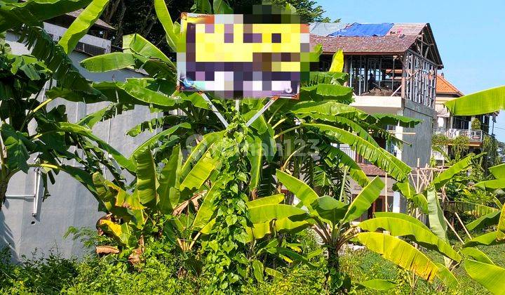 Disewakan Cepat Lahan Siap Bangun Area Jalan Bisma Cocok Untuk Resto Atau Penginapan Lokasi Jalan Utama Area Dekat Pasar Seni Ubud 2