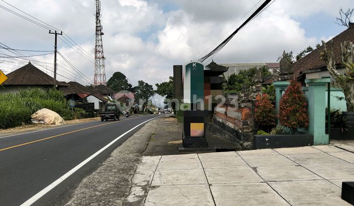 Special For Quick Sale Land Ready to Build Prime Location Zero to Main Road Baturiti Ideal For Commercial Area Special For Quick Sale Land Ready to Build Prime Location Zero to Main Road Baturiti Ideal For Commercial Area