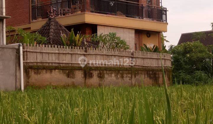 For Lease Cozy Villa With Rice Field View At Pejeng Ubud , Close From Ubud Market , Monkey Forest And Tegallalang 2