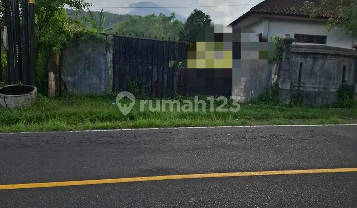 Rare For Quick Sale, Ready-to-Build Land, Location Zero on Baturiti Main Road, Suitable for Villa or Commercial Area. Rare For Quick Sale, Ready-to-Build Land, Location Zero on Baturiti Main Road, Suitable for Villa or Commercial Area.