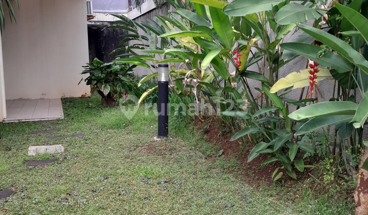 Modern Minimalist House with Spacious Land 2